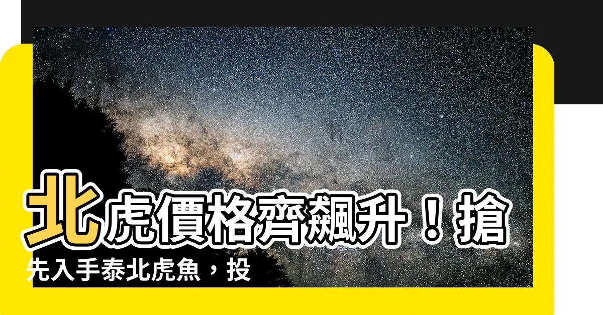 【北虎】北虎價格齊飆升！搶先入手泰北虎魚，投資機會不容錯過！