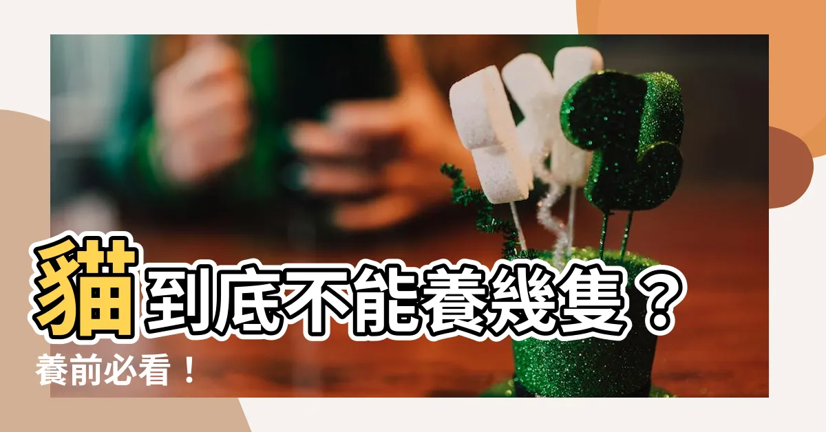 【貓 不能養幾隻】貓到底不能養幾隻？養前必看！