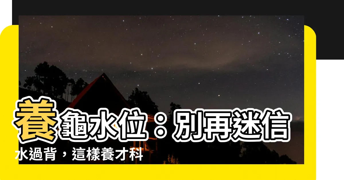 【水龜水位】養龜水位：別再迷信水過背，這樣養才科學