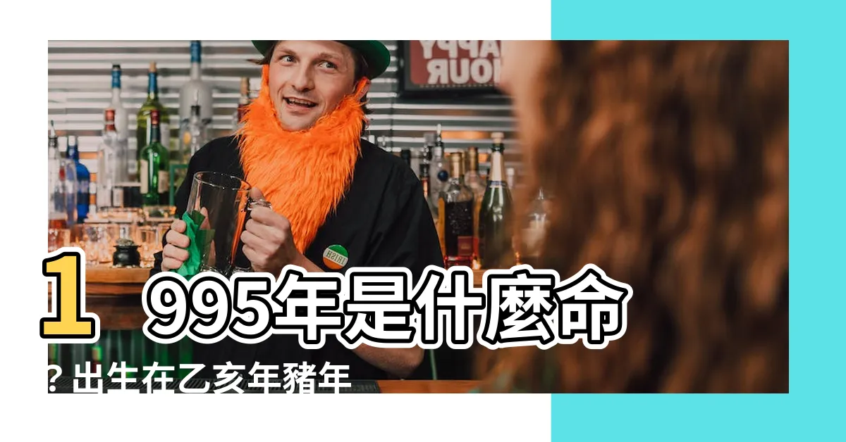 【1995年什麼命】1995年是什麼命？出生在乙亥年豬年生的人是什麼命格？