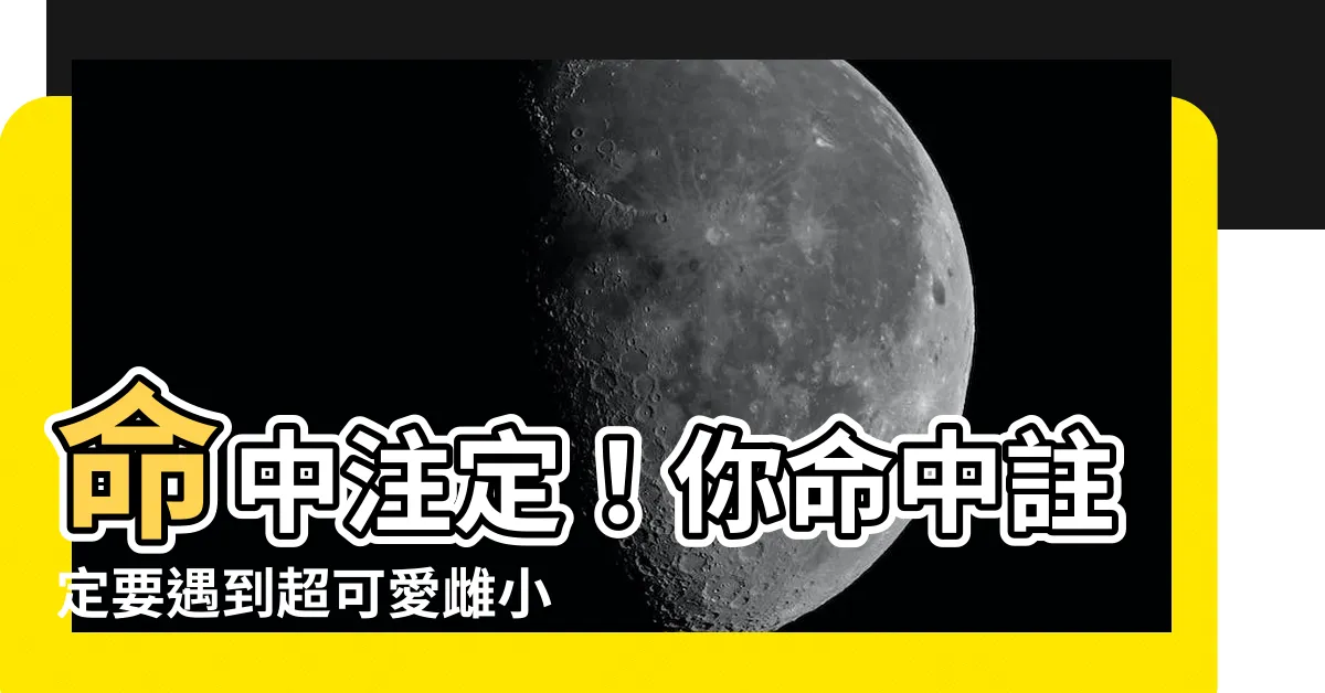 【命中註定雌小鬼：夏鄉篇】命中註定！你命中註定要遇到超可愛雌小鬼「夏」！