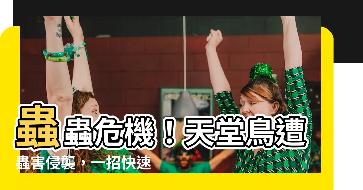 【天堂鳥 蟲】蟲蟲危機！天堂鳥遭蟲害侵襲，一招快速化解危機
