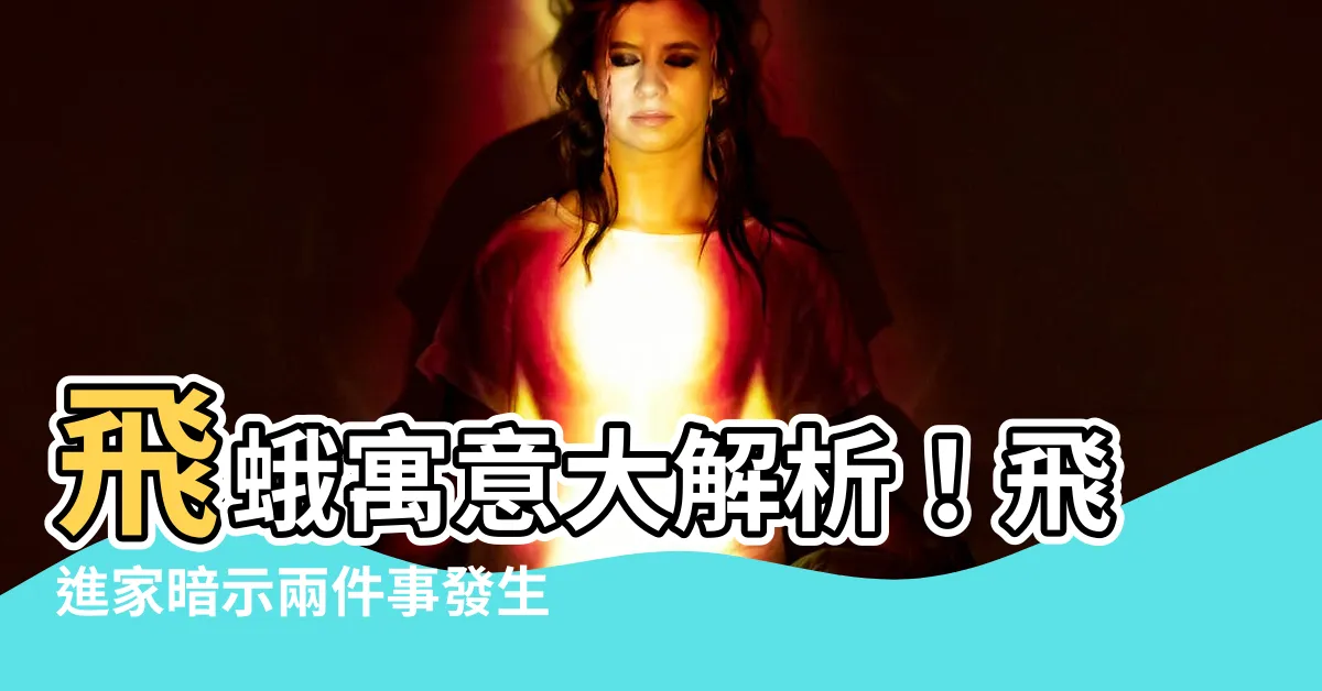 【飛蛾寓意】飛蛾寓意大解析！飛進家暗示兩件事發生，吉兆還是凶兆？