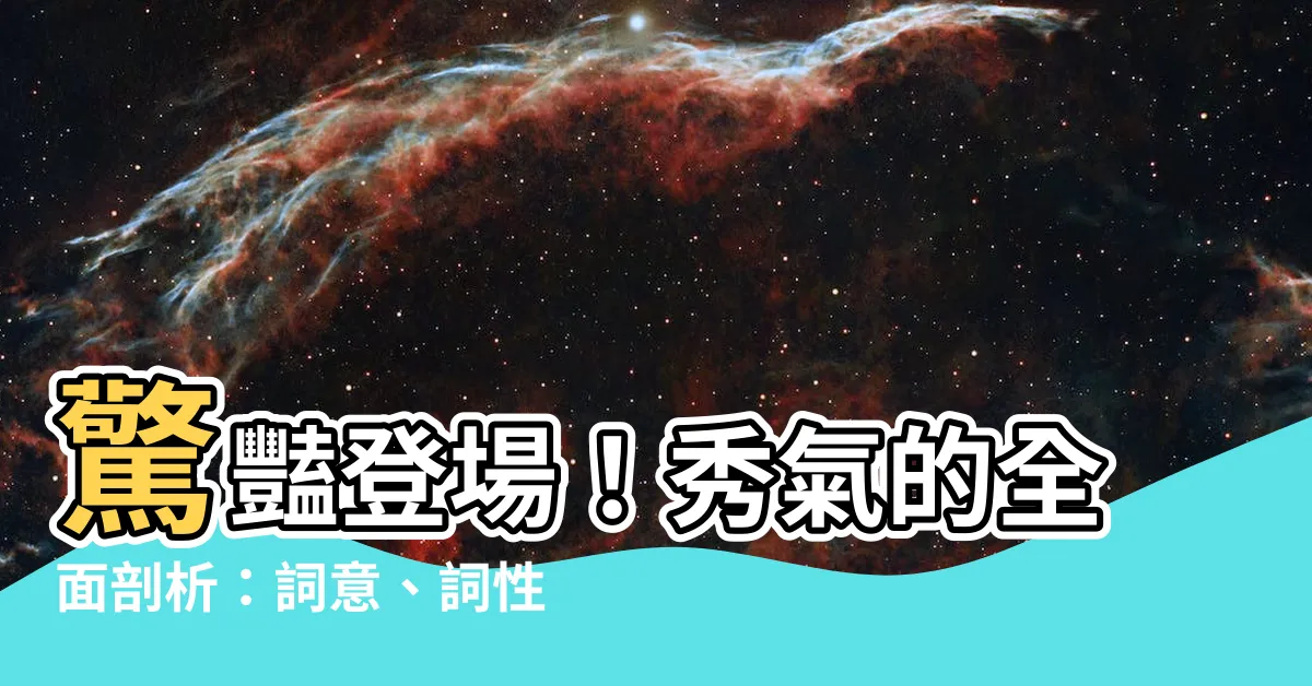 【秀氣的意思】驚豔登場！秀氣的全面剖析：詞意、詞性、常用詞彙一次揭曉