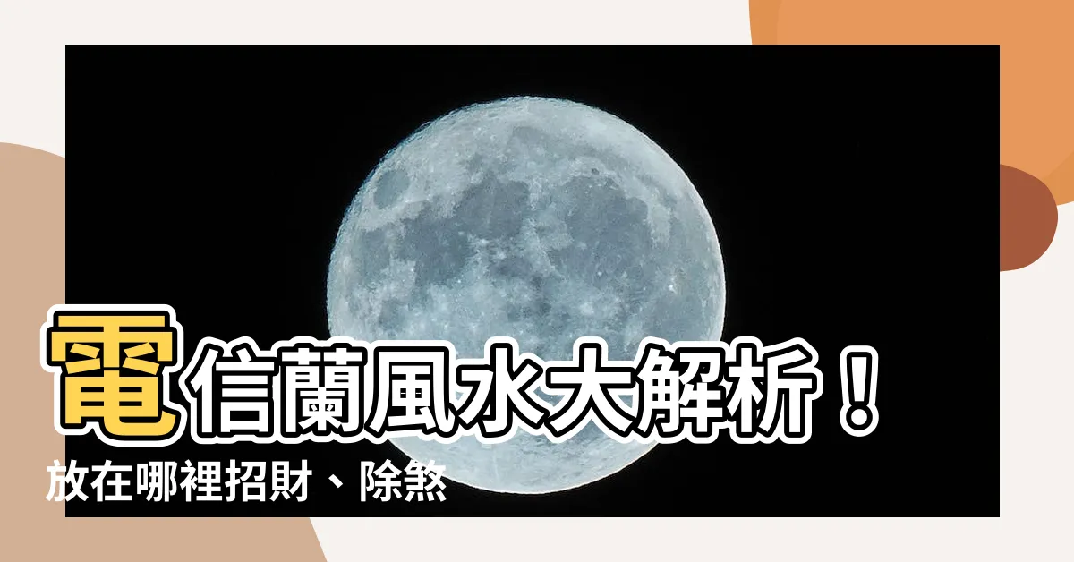 【電信蘭風水】電信蘭風水大解析！放在哪裡招財、除煞、保平安？