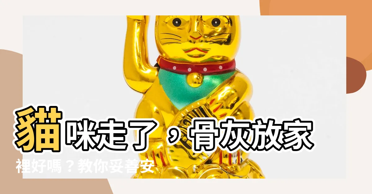 【貓咪骨灰放家裡】貓咪走了，骨灰放家裡好嗎？教你妥善安置貓咪骨灰的超完整指南