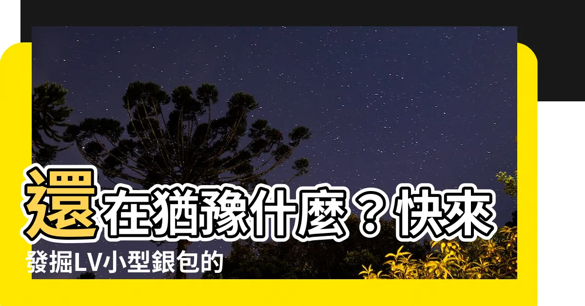 【lv銀包】還在猶豫什麼？快來發掘LV小型銀包的魅力！