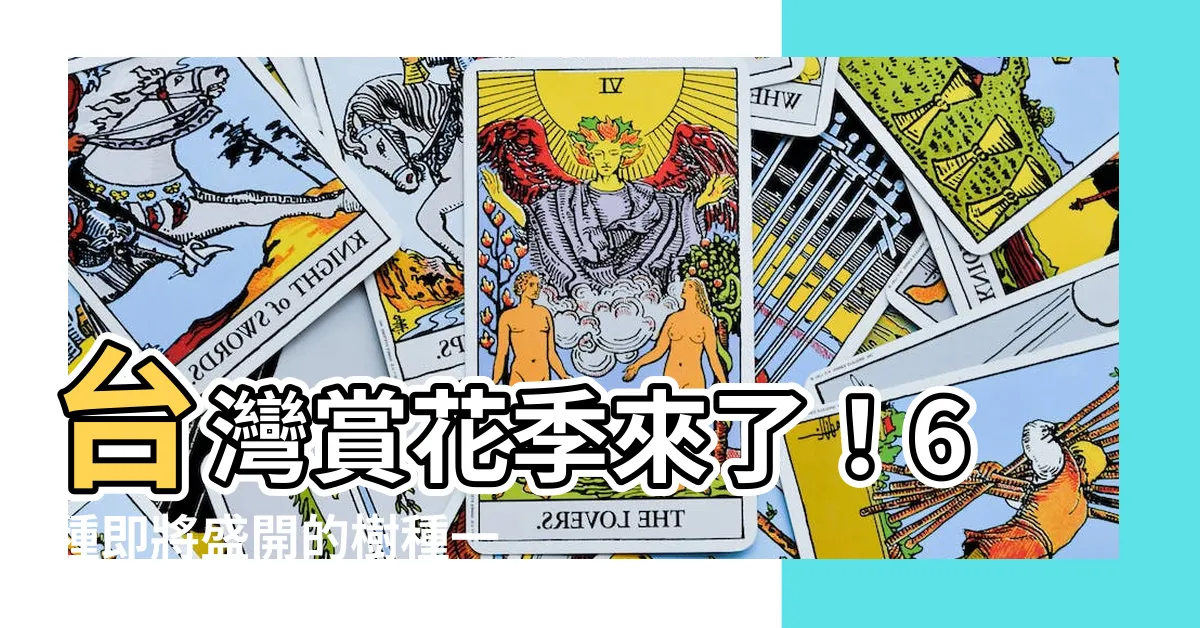 【開花的樹種】台灣賞花季來了！6種即將盛開的樹種一次看