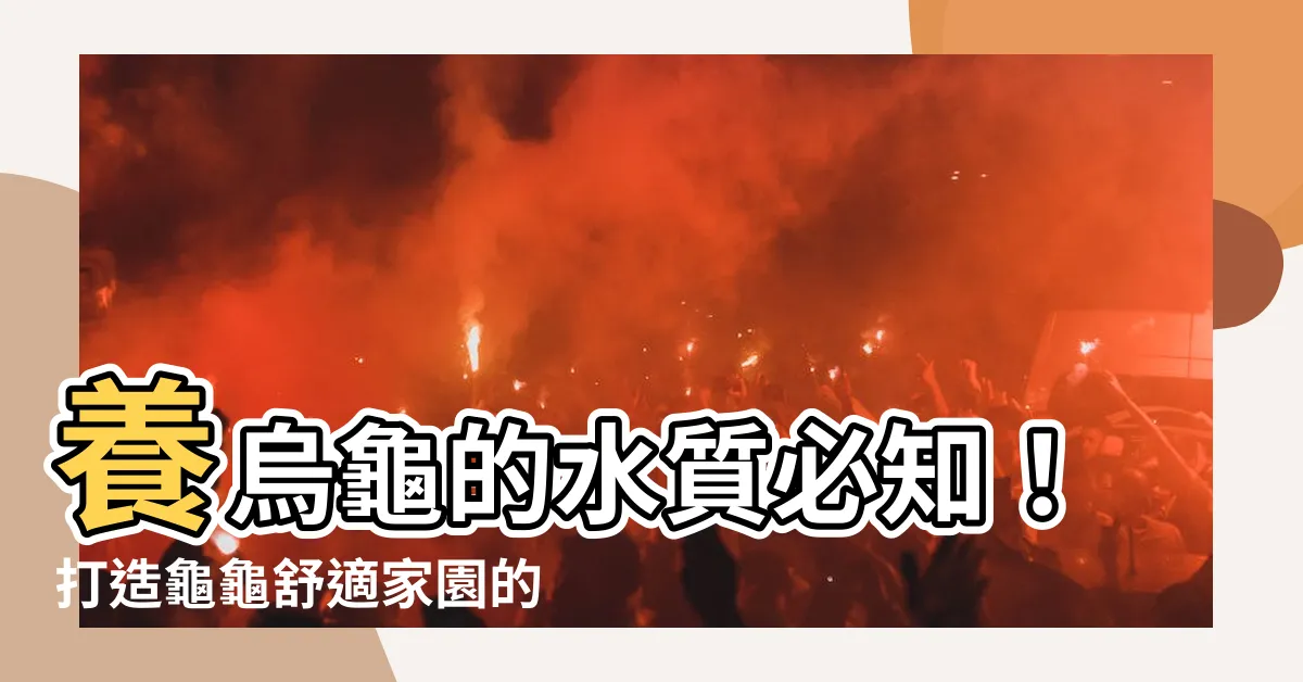 【養烏龜的水】養烏龜的水質必知！打造龜龜舒適家園的關鍵