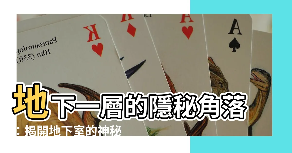 【地下一層】地下一層的隱秘角落：揭開地下室的神秘面紗