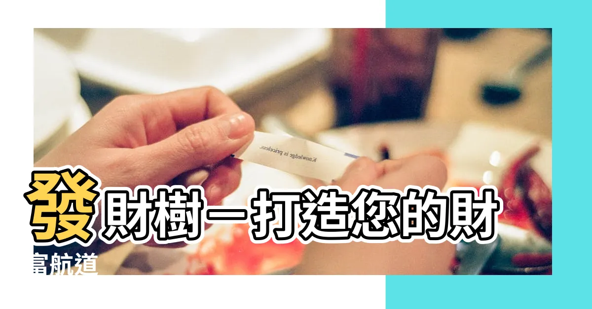 【發財樹 英文】發財樹－打造您的財富航道