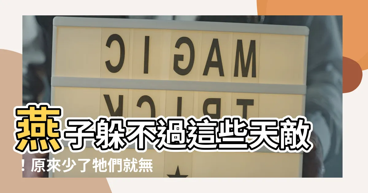 【燕子天敵】燕子躲不過這些天敵！原來少了牠們就無法翱翔天空？
