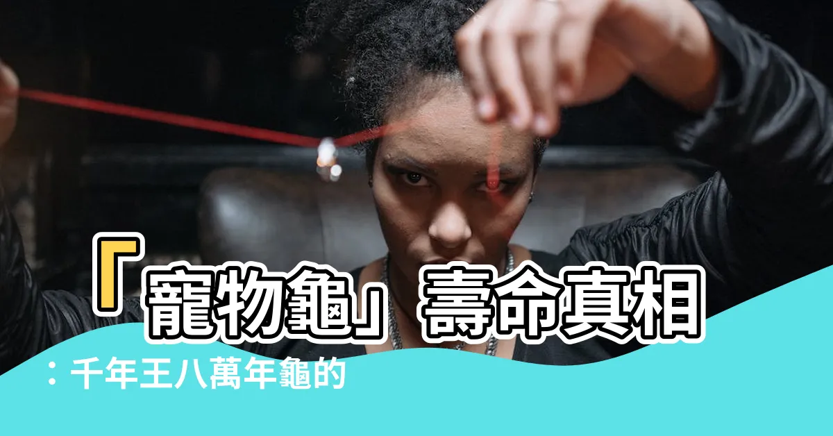 【寵物龜壽命】「寵物龜」壽命真相：千年王八萬年龜的謊言