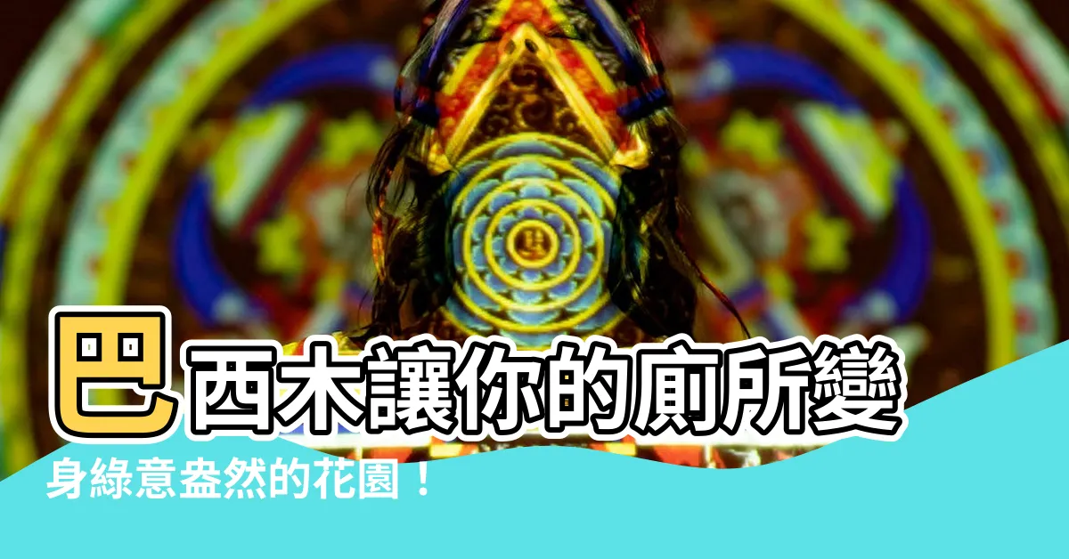 【巴西木 廁所】巴西木讓你的廁所變身綠意盎然的花園！
