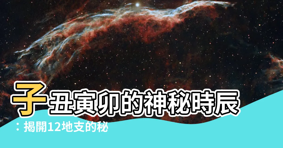 【子醜寅某】子醜寅卯的神秘時辰：揭開12地支的秘密