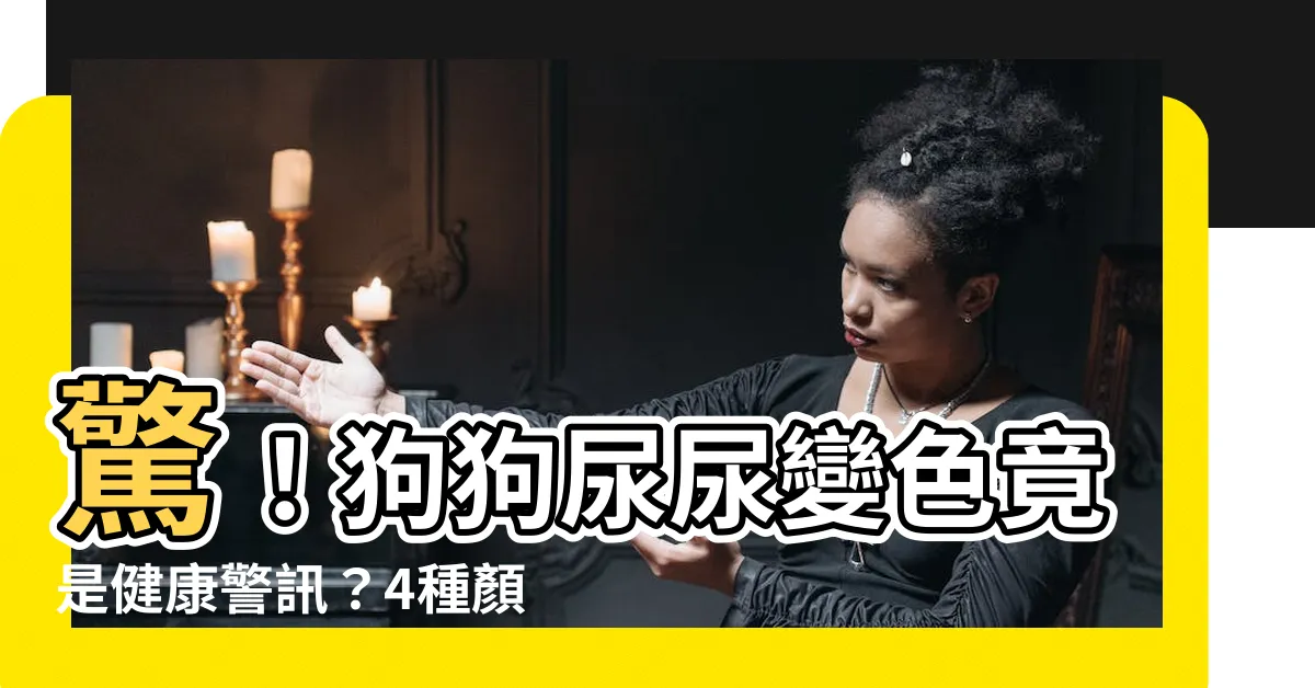 【狗狗尿尿顏色】驚！狗狗尿尿變色竟是健康警訊？4種顏色暗藏玄機，飼主必看！