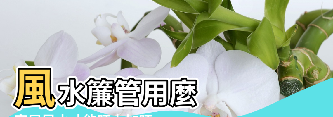【風水簾管用麼】風水簾管用麼 |家居風水才能旺上加旺 |風水簾管用麼 |