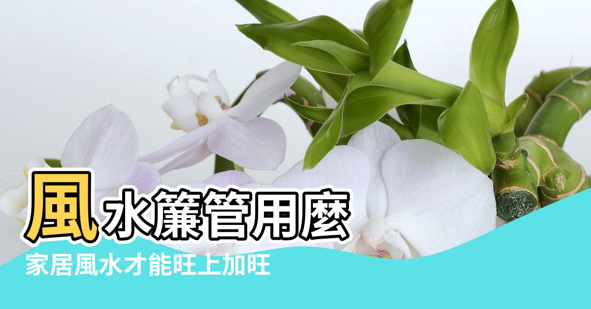 【風水簾管用麼】風水簾管用麼 |家居風水才能旺上加旺 |風水簾管用麼 |