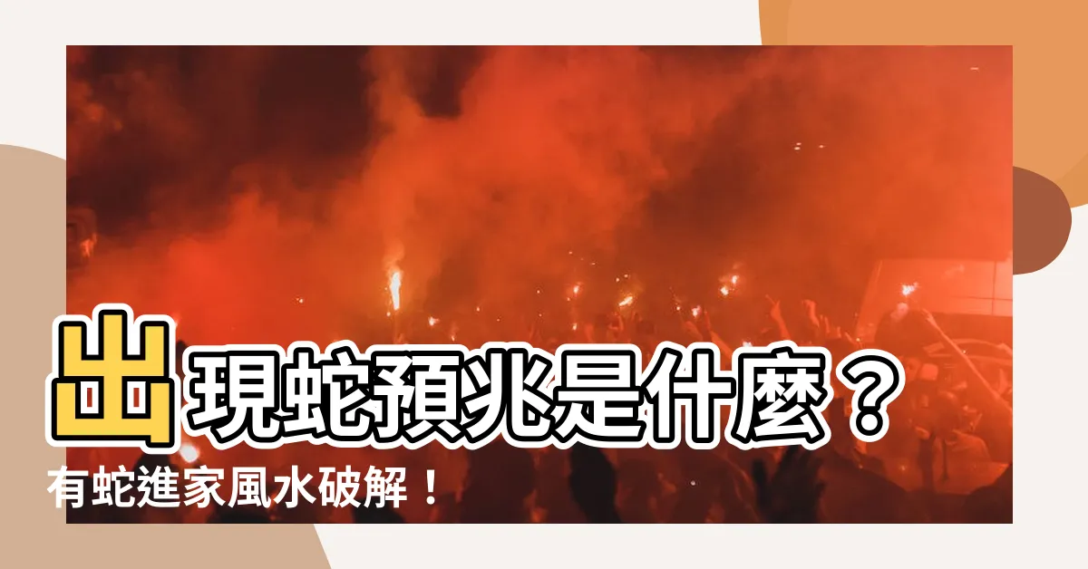 【出現蛇】出現蛇預兆是什麼？有蛇進家風水破解！