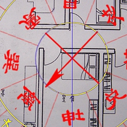 2、風水樓前種的銀杏樹不結果,能砍嗎?