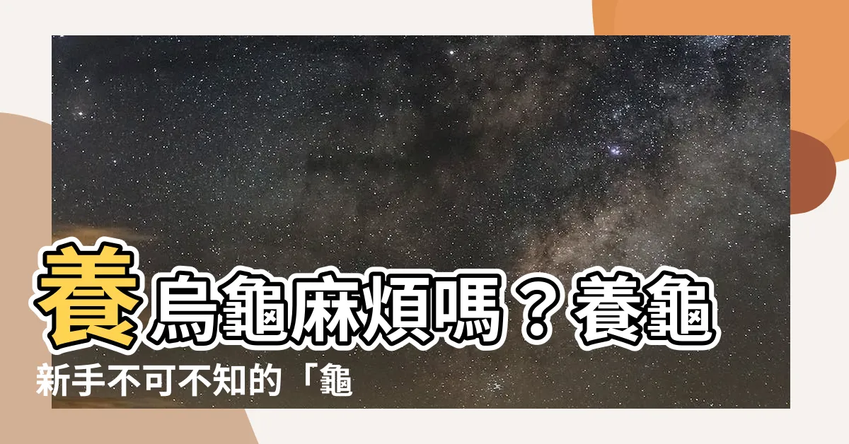 【養烏龜麻煩嗎】養烏龜麻煩嗎？養龜新手不可不知的「龜」煩瑣事！