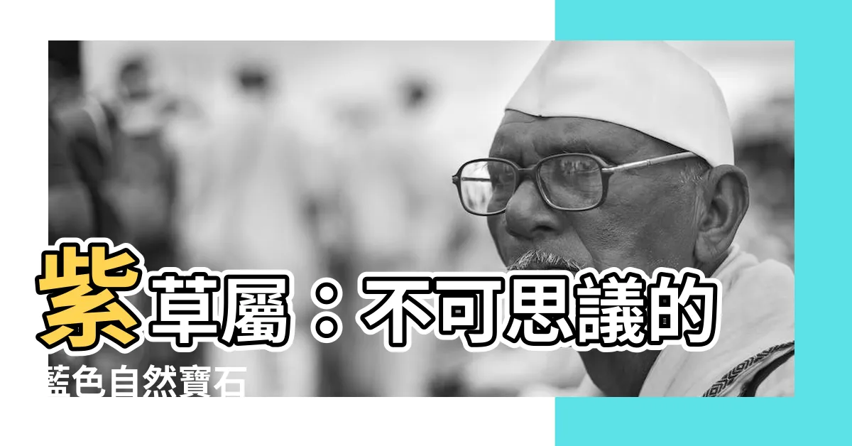 【紫草屬】紫草屬：不可思議的藍色自然寶石