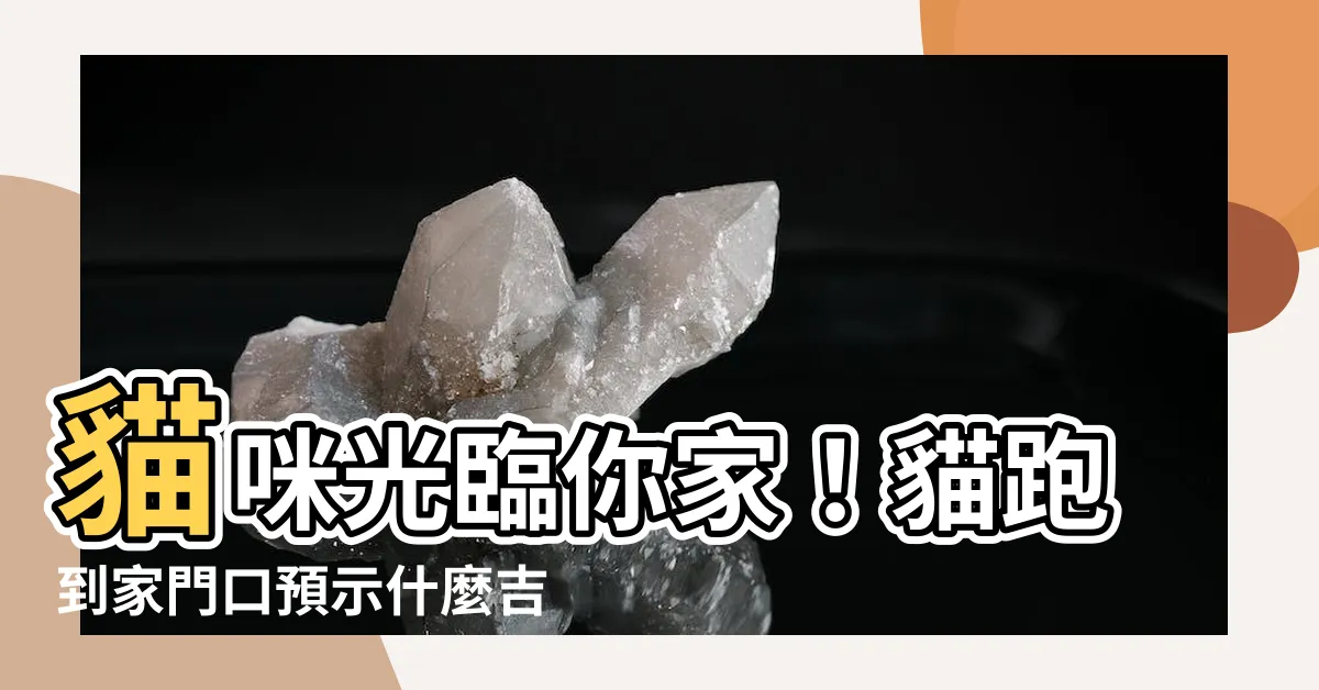 【貓跑來家門口】貓咪光臨你家！貓跑到家門口預示什麼吉凶徵兆？