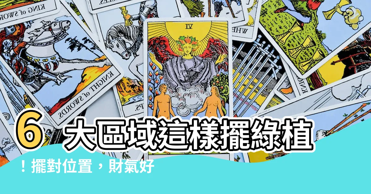 【家裏種什麼植物好】6大區域這樣擺綠植！擺對位置，財氣好運自動來