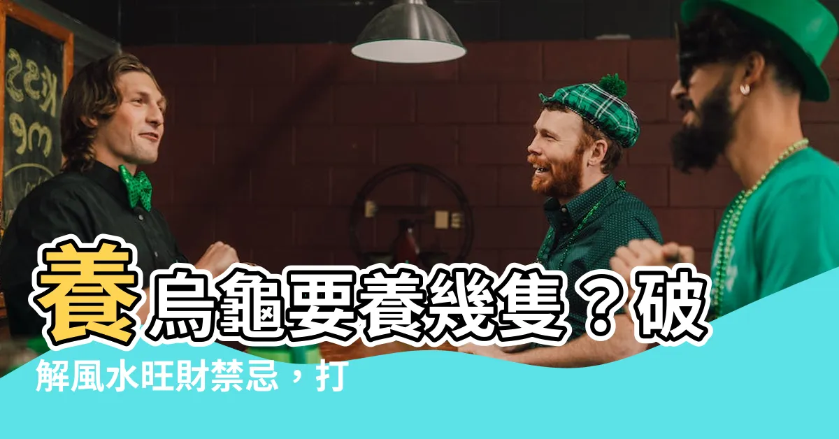 【養烏龜要養幾隻】養烏龜要養幾隻？破解風水旺財禁忌，打造好運居家環境