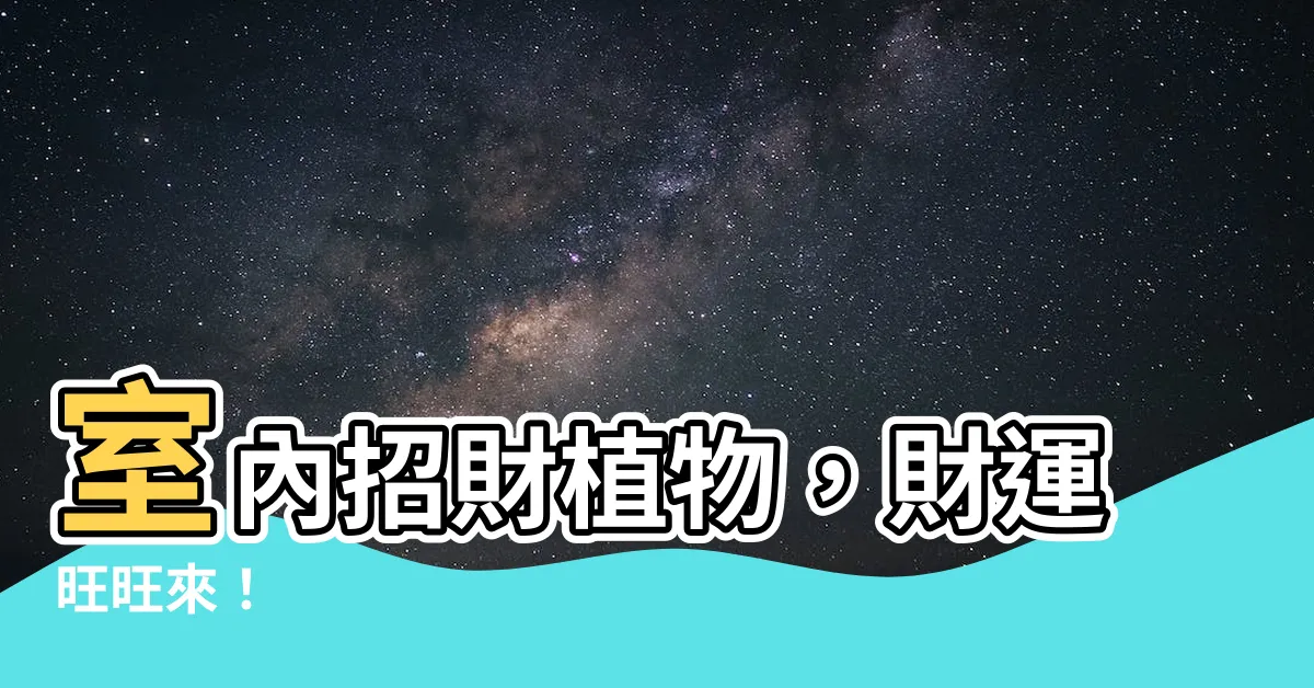 【室內招財植物】室內招財植物，財運旺旺來！
