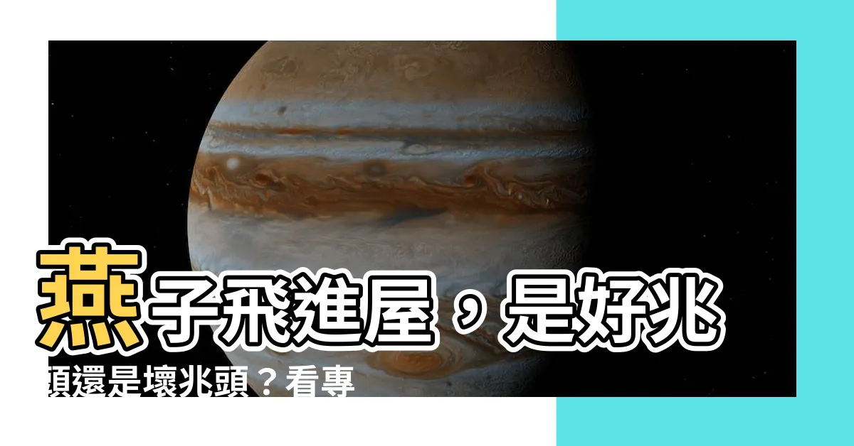 【燕子進屋】燕子飛進屋，是好兆頭還是壞兆頭？看專家怎麼説！