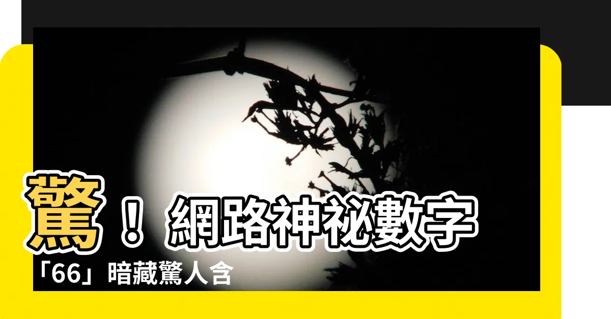 【66意思】驚！ 網路神秘數字「66」暗藏驚人含義，你絕對想不到！