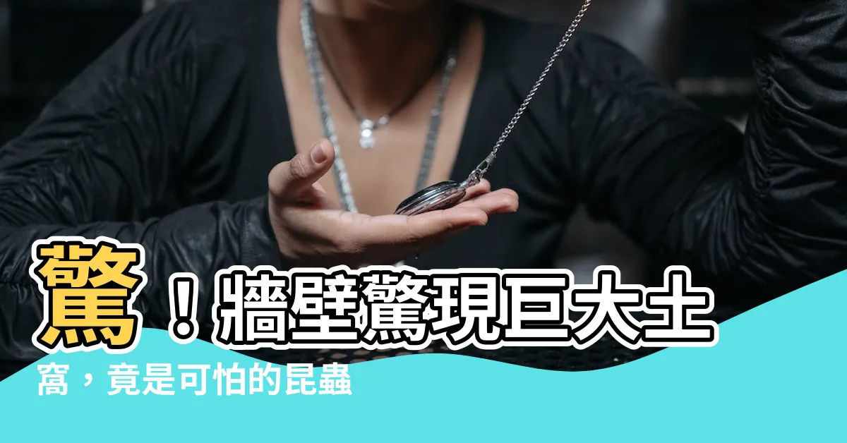 【牆壁土窩】驚！牆壁驚現巨大土窩，竟是可怕的昆蟲巢穴！