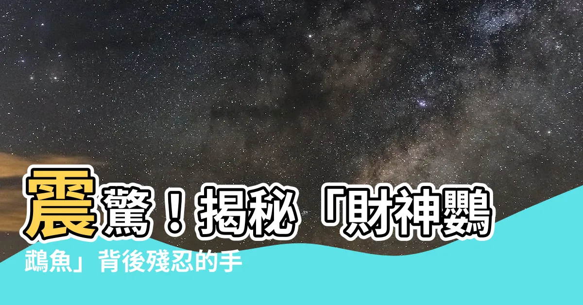 【財神鸚鵡魚】震驚！揭秘「財神鸚鵡魚」背後殘忍的手段