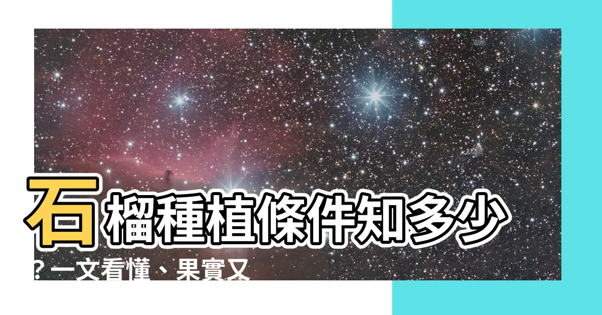 【石榴種植條件】石榴種植條件知多少？一文看懂、果實又圓又大又多