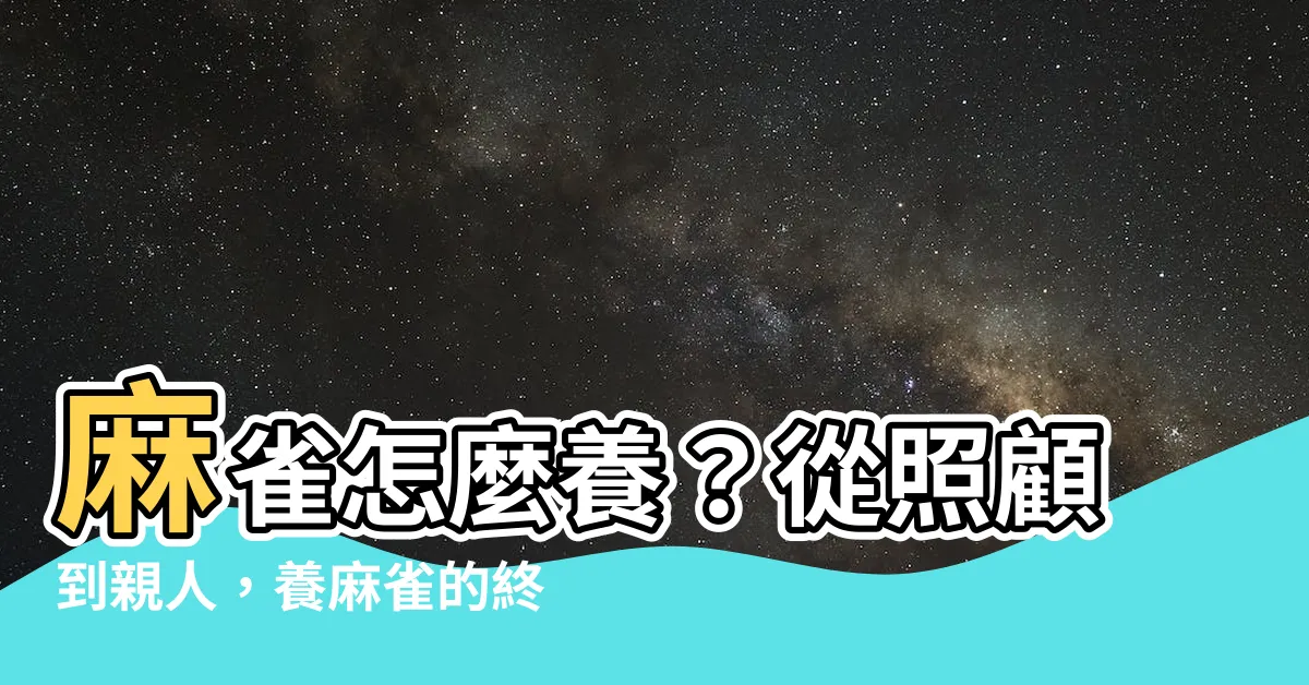 【養麻雀】麻雀怎麼養？從照顧到親人，養麻雀的終極攻略