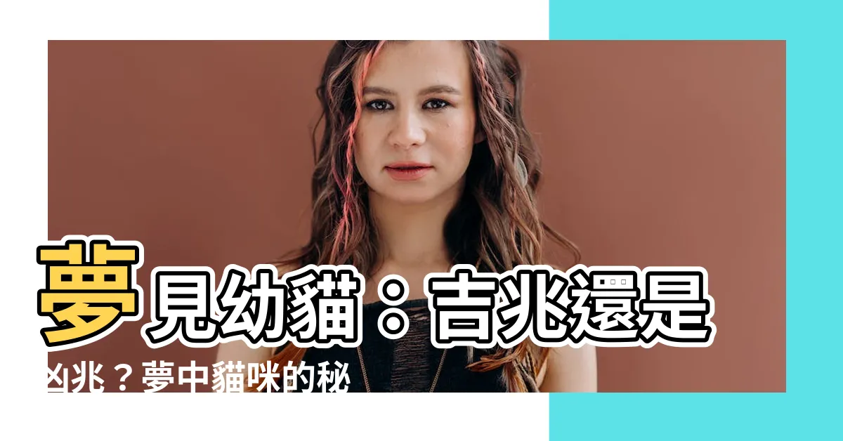 【夢見幼貓】夢見幼貓：吉兆還是凶兆？夢中貓咪的秘密解析