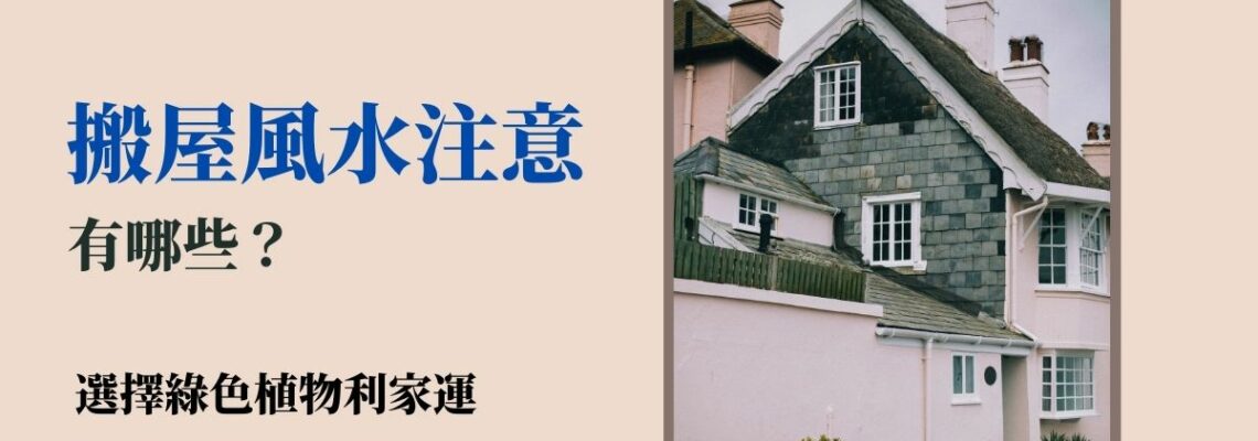 搬屋風水注意有哪些?選擇綠色植物利家運 | 家居風水2021