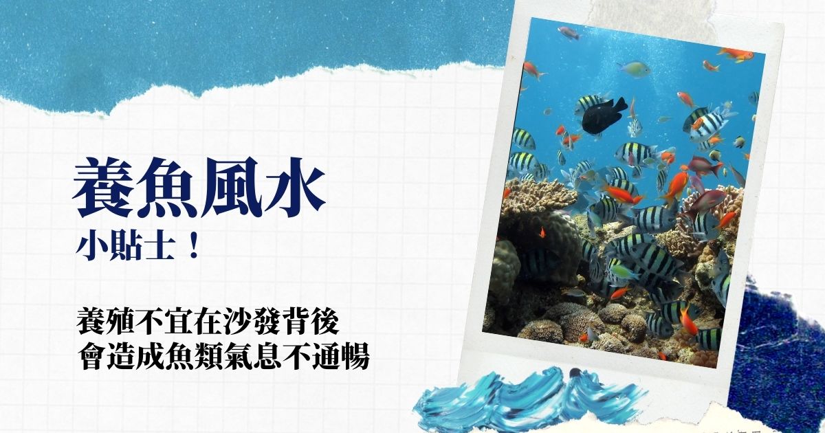 養魚風水小貼士！養殖不宜在沙發背後會造成魚類氣息不通暢 | 風水知識2021