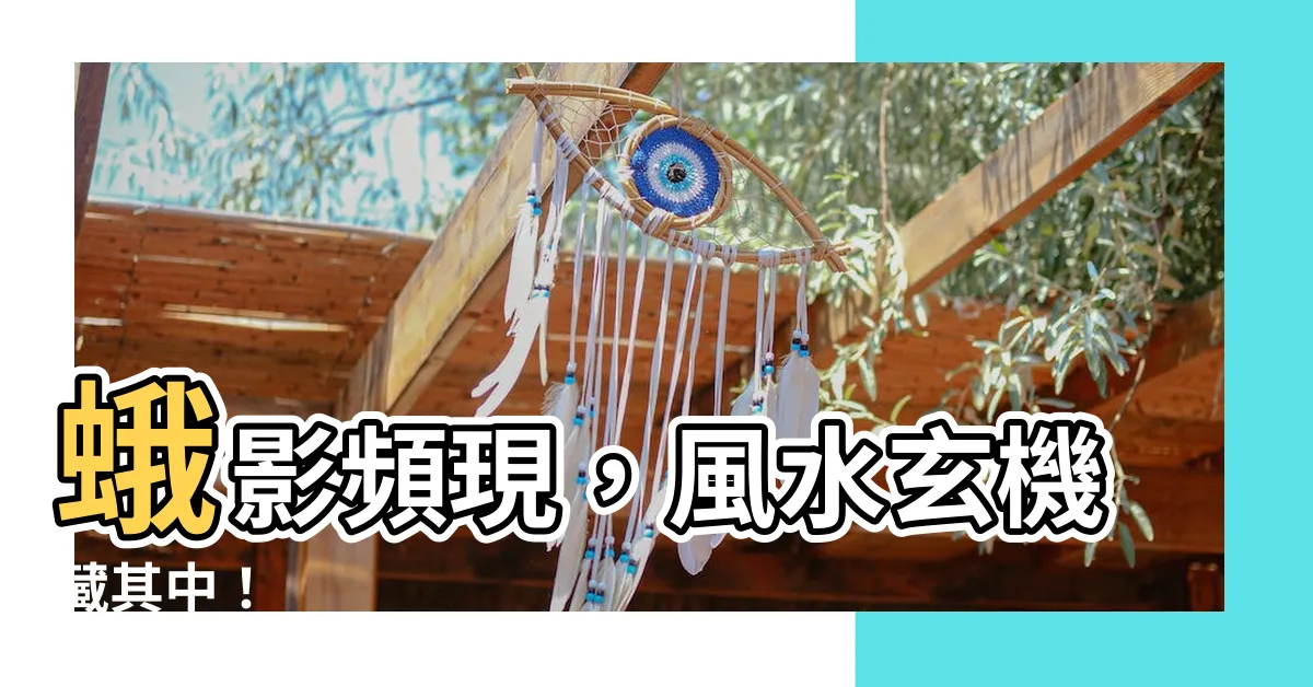 【蛾 風水】蛾影頻現，風水玄機藏其中！