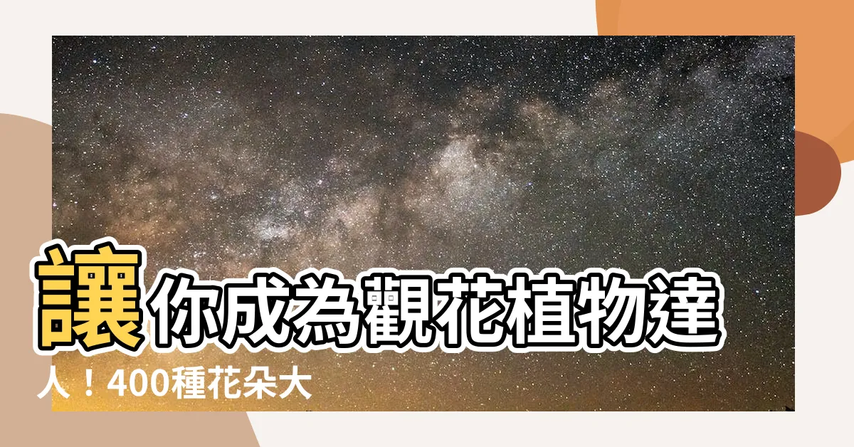 【花朵大全】讓你成為觀花植物達人！400種花朵大全，賞花賞到不要不要的～