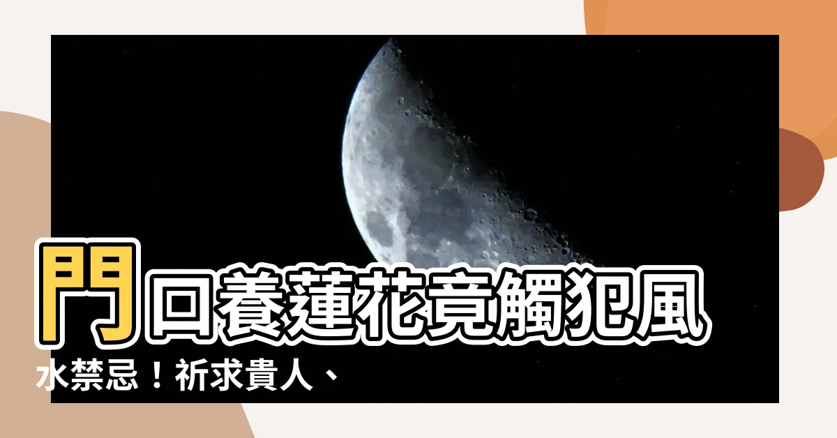 【門口養蓮花風水】門口養蓮花竟觸犯風水禁忌！祈求貴人、招財運反招致厄運