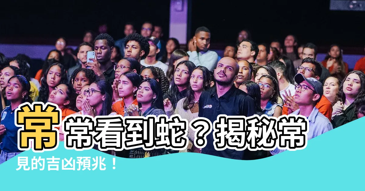 【常常看到蛇】常常看到蛇？揭秘常見的吉凶預兆！