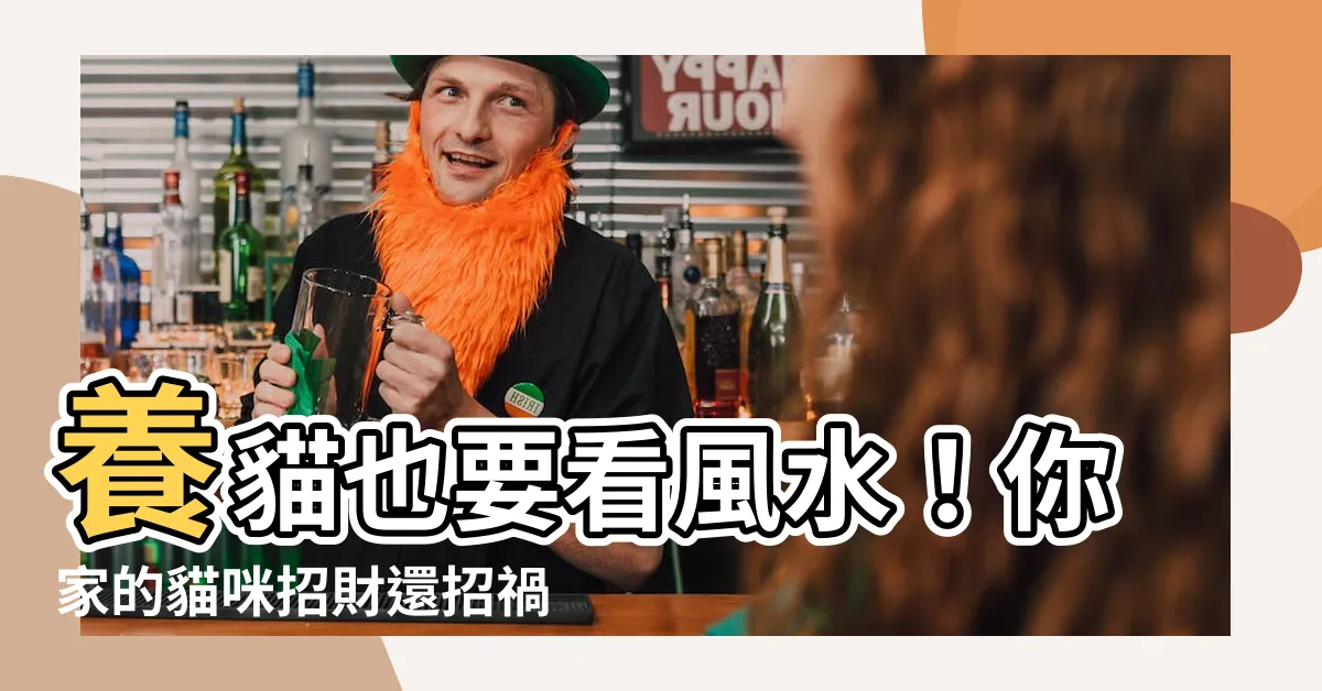 【貓 風水】養貓也要看風水！你家的貓咪招財還招禍？