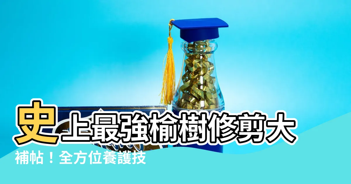 【榆樹修剪】史上最強榆樹修剪大補帖！全方位養護技巧助你打造完美盆景