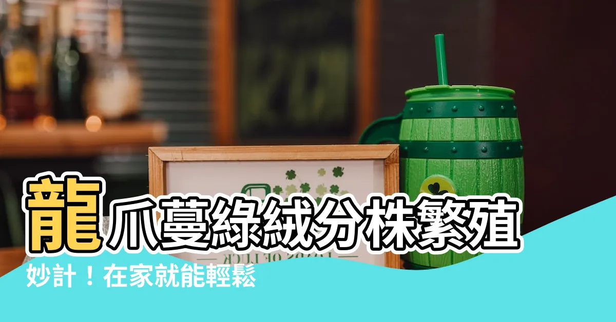 【龍爪蔓綠絨分株】龍爪蔓綠絨分株繁殖妙計！在家就能輕鬆自植觀葉植物