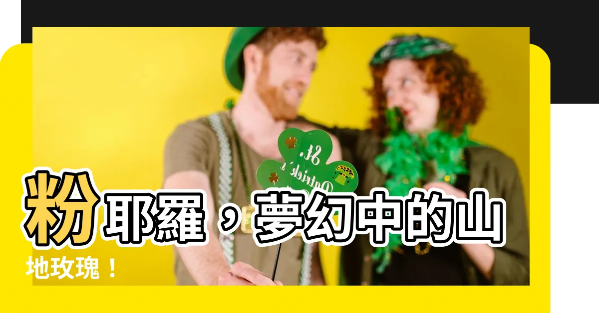 【粉耶羅】粉耶羅，夢幻中的山地玫瑰！