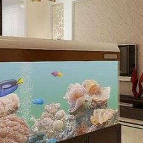 1、養魚的風水