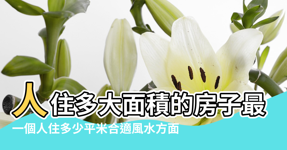 【每人多少平米風水】人住多大面積的房子最合適 |一個人住多少平米合適風水方面 |風水角度解讀 |