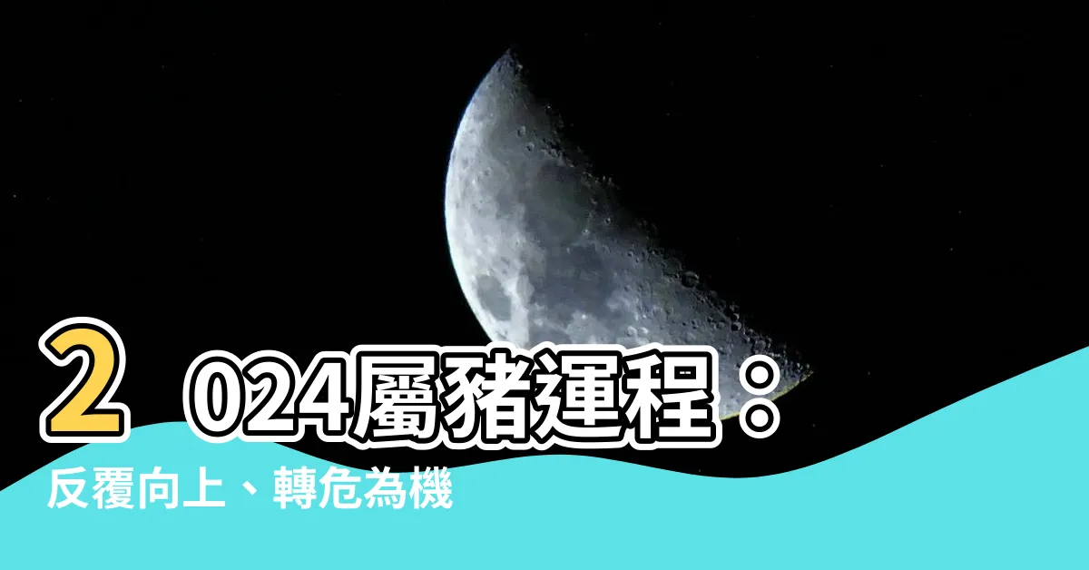 【2024屬豬運程】2024屬豬運程：反覆向上、轉危為機！【開運錦囊大公開】